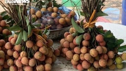 Những ai không nên ăn vải?