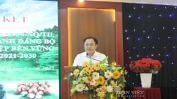 Lâm nghiệp Lạng Sơn tới mục tiêu doanh thu 7.100 tỷ đồng