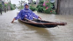 Bộ Nông nghiệp và Môi trường hỗ trợ khẩn cấp thành phố Huế 160 tấn lúa giống