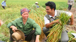 “Một hạt thóc, 40 khoản đóng góp” (Bài 8) - 10 bài báo kinh điển về đề tài tam nông trong 40 năm Đổi mới
