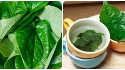 Loại rau gia vị quen thuộc lại vừa là vị thuốc dân gian của người Việt, bán rẻ đầy chợ