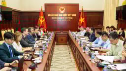 IMF sẵn sàng đối thoại và cập nhật báo cáo cho Việt Nam về biến động thuế quan 