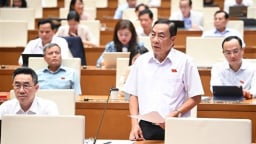ĐBQH Phạm Văn Hòa: Đội tuần tra đặc biệt là dân quân tự vệ mà bắt người khẩn cấp thì không hay, phải có quân đội hoặc công an
