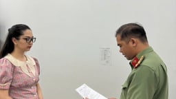 Vụ người phụ nữ lập 18 công ty “ma” để bán hóa đơn, trốn thuế: Khởi tố thêm 6 bị can