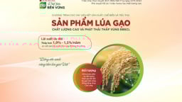 Agribank rót vốn ưu đãi cho 1 triệu ha lúa ĐBSCL