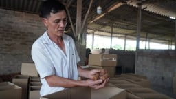 Sau phản ánh của Dân Việt về việc tiểu thương Bắc Giang vất vả hoàn thiện thủ tục thuế, Phó Chủ tịch UBND tỉnh Bắc Giang có chỉ đạo khẩn