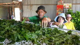 Phó Giám đốc Sở Nông nghiệp và Môi trường tỉnh Lâm Đồng: 5 giải pháp giảm nghèo bền vững vùng nông thôn