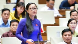 Danh sách Phó Chủ tịch UBND các tỉnh, thành mới sau sáp nhập