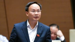 Phó Chủ tịch UBND tỉnh Bắc Ninh livestream bán vải: 'Nếu bà con cần, tôi sẵn sàng làm nữa'