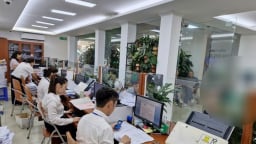 3 trường hợp cán bộ, công chức chưa bị xem xét xử lý kỷ luật theo quy định mới nhất của Chính phủ
