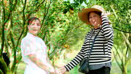 Sáp nhập với Bình Dương, du lịch nông thôn trở thành hướng phát triển bền vững trong xây dựng nông thôn mới phía Bắc TP.HCM