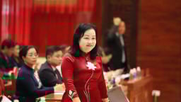 Nữ Phó Bí thư Thường trực Tỉnh ủy được chỉ định giữ chức Chủ tịch HĐND tỉnh Đắk Lắk