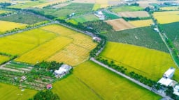 Từ con lộ sình lầy đến con đường hạnh phúc nổi tiếng miền Tây: Nông dân chuyển hướng làm giàu (Bài cuối)