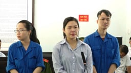 Chiếm đoạt hàng chục tỷ đồng qua huy động vốn kinh doanh online