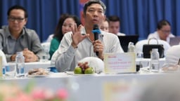 Nón Sơn, Võng xếp Duy Lợi, Sâm Ngọc Linh “gồng mình” chống hàng giả, lãnh đạo lo mất niềm tin