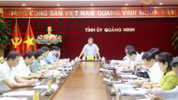 Kinh tế Quảng Ninh tăng trưởng trên 11% trong nửa đầu năm 2025