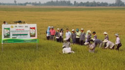 Áp mức thuế GTGT 5% đối với phân bón từ tháng 7/2025