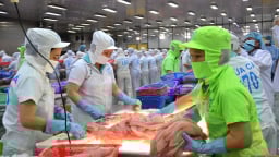 Cá tra, rô phi 'bơi' nửa bán cầu chinh phục thị trường Brazil, chuyên gia lý giải thủy sản Việt Nam có nhiều lợi thế