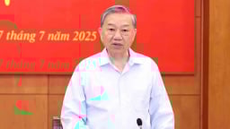 Vụ án tại Viện pháp y tâm thần Trung ương, vụ sữa Hiup giả vào diện theo dõi của Ban Chỉ đạo Trung ương