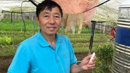 Người lính Lạng Sơn xuất ngũ, trở thành nông dân công nghệ cao