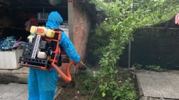 Huế: 17 trường hợp mắc liên cầu lợn trong 3 tuần, 1 người tử vong 