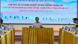 Phó chủ tịch TP.HCM yêu cầu sớm thống nhất phương án sử dụng bảng giá đất cho TP.HCM mới