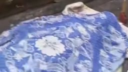 Em đâm chết anh trai vì cây quạt điện