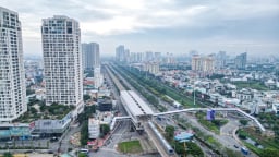 TP.HCM thu hơn 8,5 tỷ đồng từ việc xử phạt các trường hợp vi phạm về đất đai, nông nghiệp và môi trường