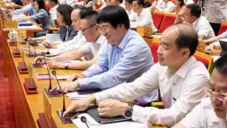 Hà Nội hỗ trợ sản xuất nông nghiệp vùng bị thiệt hại do thiên tai: Mức hỗ trợ lên tới 90 triệu đồng/ha, 1 lợn nái được hỗ trợ 4,5 triệu đồng