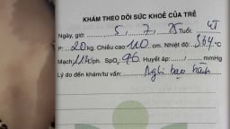 Cơ quan chức năng vào cuộc vụ phụ huynh tố giáo viên Trường Mầm non Gia Thụy bạo hành bé 4 tuổi