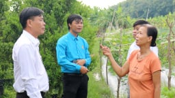 Phân công nhiệm vụ của Thường trực Hội Nông dân TP.HCM