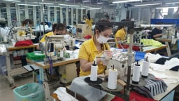 Thị trường lao động TP.HCM sau sáp nhập: Cần 90.000 nhân lực, chính sách nào cho người lao động?
