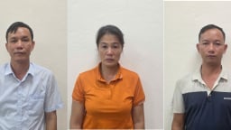 Khởi tố giám đốc công ty lâm nghiệp và đồng phạm vì khai thác rừng tự nhiên trái phép