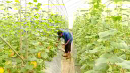 UBND tỉnh Ninh Bình yêu cầu thực hiện một cuộc điều tra quan trọng, sau một tuần về 'chung nhà' với tỉnh Nam Định, Hà Nam