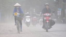 PGS.TS Bùi Thị An: Hà Nội không thể trì hoãn thêm việc “khai tử” xe xăng dầu, nhưng phải quan tâm hỗ trợ người dân