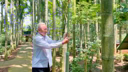 Một ông nông dân ở tỉnh Đắk Lắk mới có vỏn vẹn 4 sào đất, trồng cây gì mà lãi tiền tỷ, cả làng phục lăn?