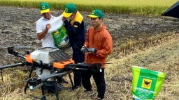 Giải mã cặp đôi 'Bio và Canxi' - Chìa khóa cho canh tác lúa bền vững ở ĐBSCL