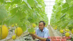 Từng hoạt động yếu kém, HTX này ở Thanh Hóa đầu tư làm cái gì mà bất ngờ 'lột xác', có 2 sản phẩm đạt 4 sao OCOP?