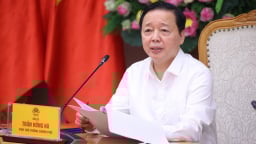 Phó Thủ tướng: Đảng bộ Bộ Xây dựng cần đổi mới toàn diện theo hướng chuyển đổi xanh và chuyển đổi số