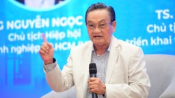 TS Trần Du Lịch kiến nghị 5 điều cấp bách cho TP.HCM, đặc biệt nên xây 1 khu thương mại tự do ở Cái Mép - Thị Vải
