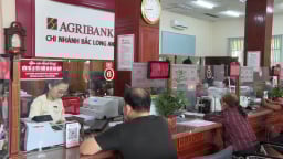 Agribank Chi nhánh Bắc Long An: Đồng hành phát triển kinh tế vùng biên giới