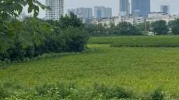 Cấp sổ đỏ từ tháng 7/2025: Hạn mức đất ở có gì thay đổi?