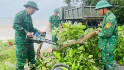 Đặc khu Cô Tô (Quảng Ninh) an toàn khi bão  WIPHA quét qua, quân, dân dọn dẹp cây đổ
