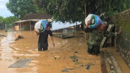 Ủy ban Mặt trận Tổ quốc Nghệ An kêu gọi chung tay hỗ trợ đồng bào vùng lũ