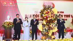 Đà Nẵng: Thương mại - dịch vụ truyền cảm hứng để phường Hải Vân xây dựng hình mẫu mô hình đô thị sinh thái