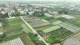 Tiền sử dụng đất 'làm khó' nhà đầu tư và thị trường bất động sản