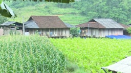 Nông thôn mới ở một xã mới của Thái Nguyên sau sáp nhập còn các ngôi nhà sàn đẹp mê ly, ngỡ như cổ tích
