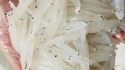 Con 'bạch ngọc' ví như 'nhân sâm nước sông Đà' ở Hòa Bình là cá gì mà trẻ nhỏ, người già ăn cực tốt?