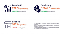 Vì sao hơn 80.000 shop lặng lẽ rời sàn thương mại điện tử?