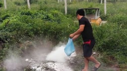TP Huế ghi nhận ổ dịch tả lợn Châu Phi đầu tiên 